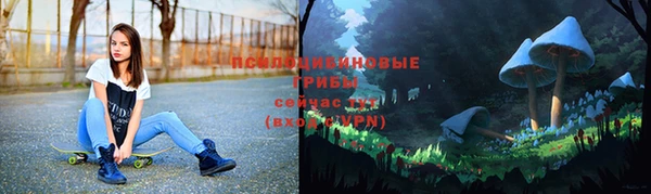 бошки Михайловск