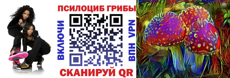 Псилоцибиновые грибы GOLDEN TEACHER  Владикавказ 