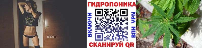 blacksprut ссылки  Владикавказ  Бошки Шишки тримм 